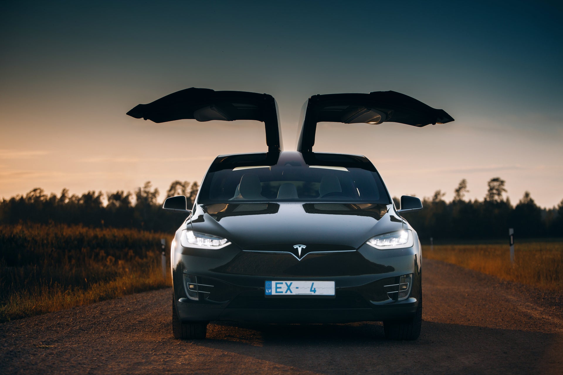 Model X